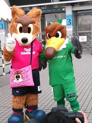 プレゼント コロボックルのブログ Labola