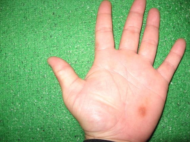 恥もネタもない バリボン 2のブログ Labola