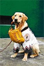 ボクは小さなボールボーイ ｋａｚｕのブログ Labola