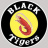 BLACK Tigersの写真